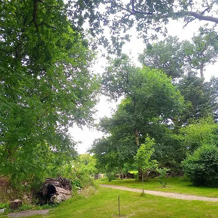 Le Verdoyant * Salignac-de-Mirambeau